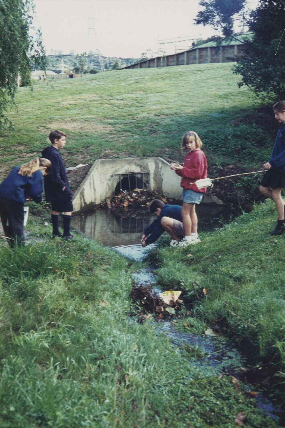 Students collecting water samples