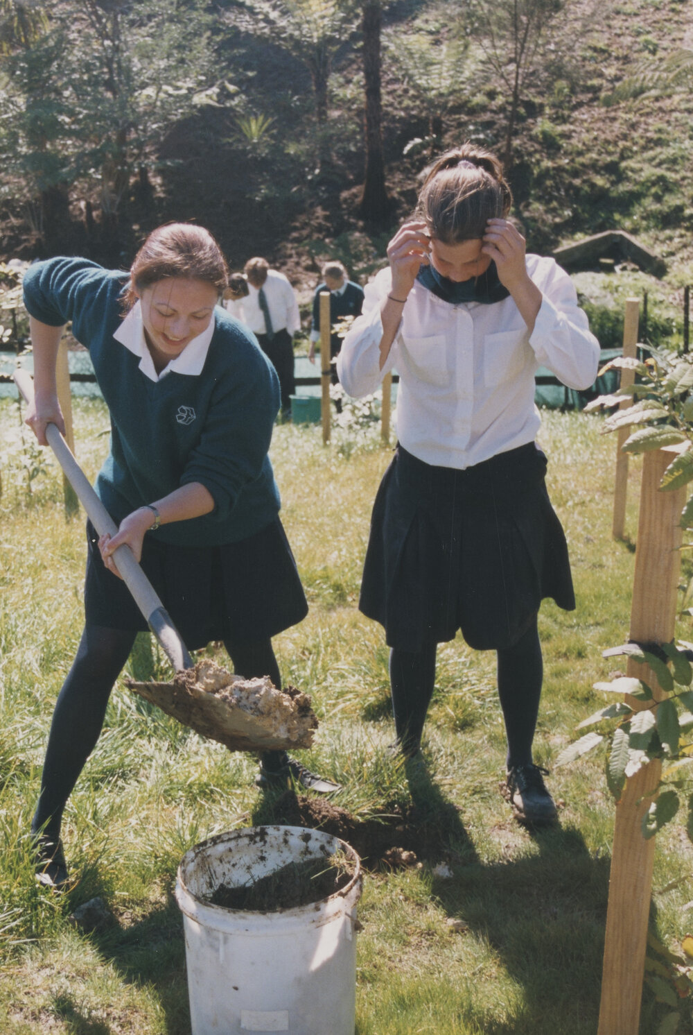 Seniors Tree planting (1999)