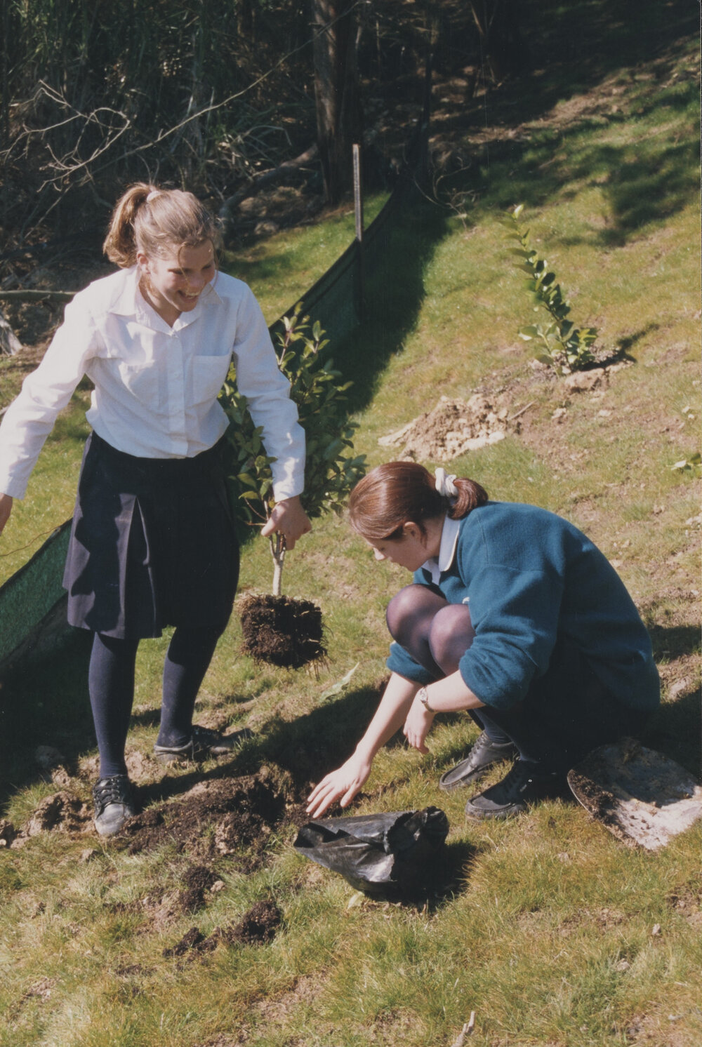Seniors Tree planting (1999)