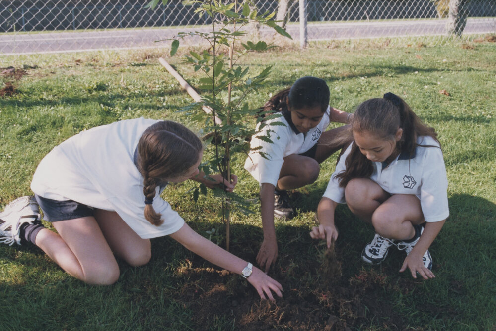 Kristin Year 9 Tree planting project