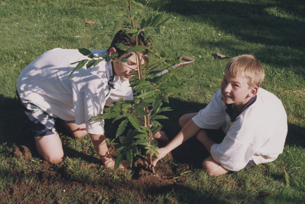 Kristin Year 9 Tree planting project