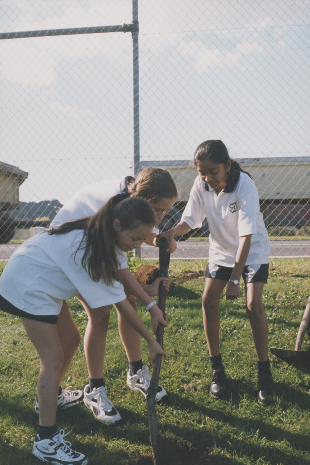 Kristin Year 9 Tree planting project