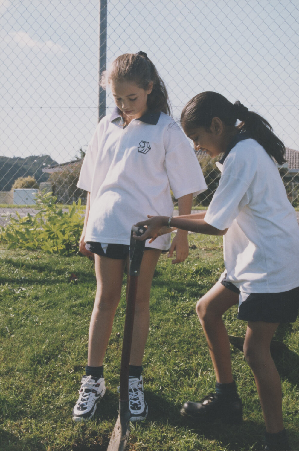 Kristin Year 9 Tree planting project