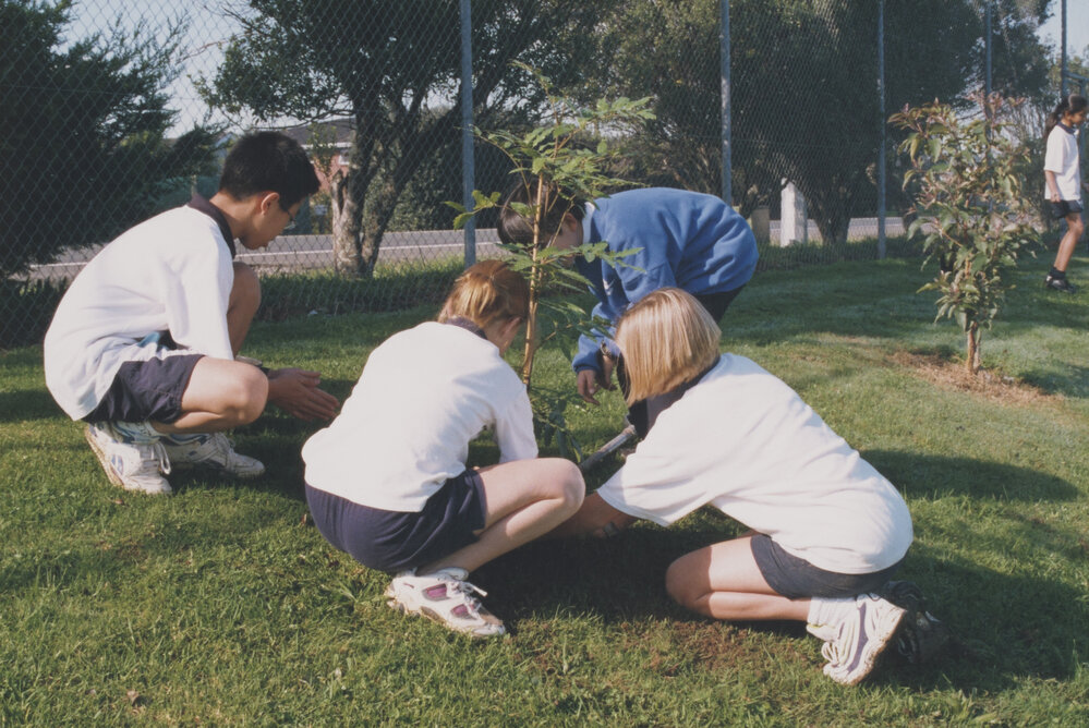 Kristin Year 9 Tree planting project