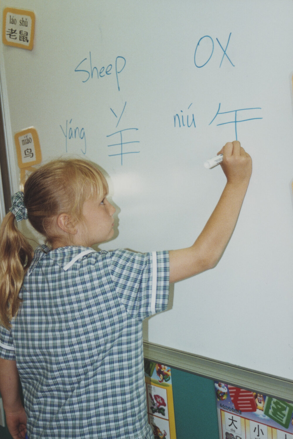 Student in Chinese class