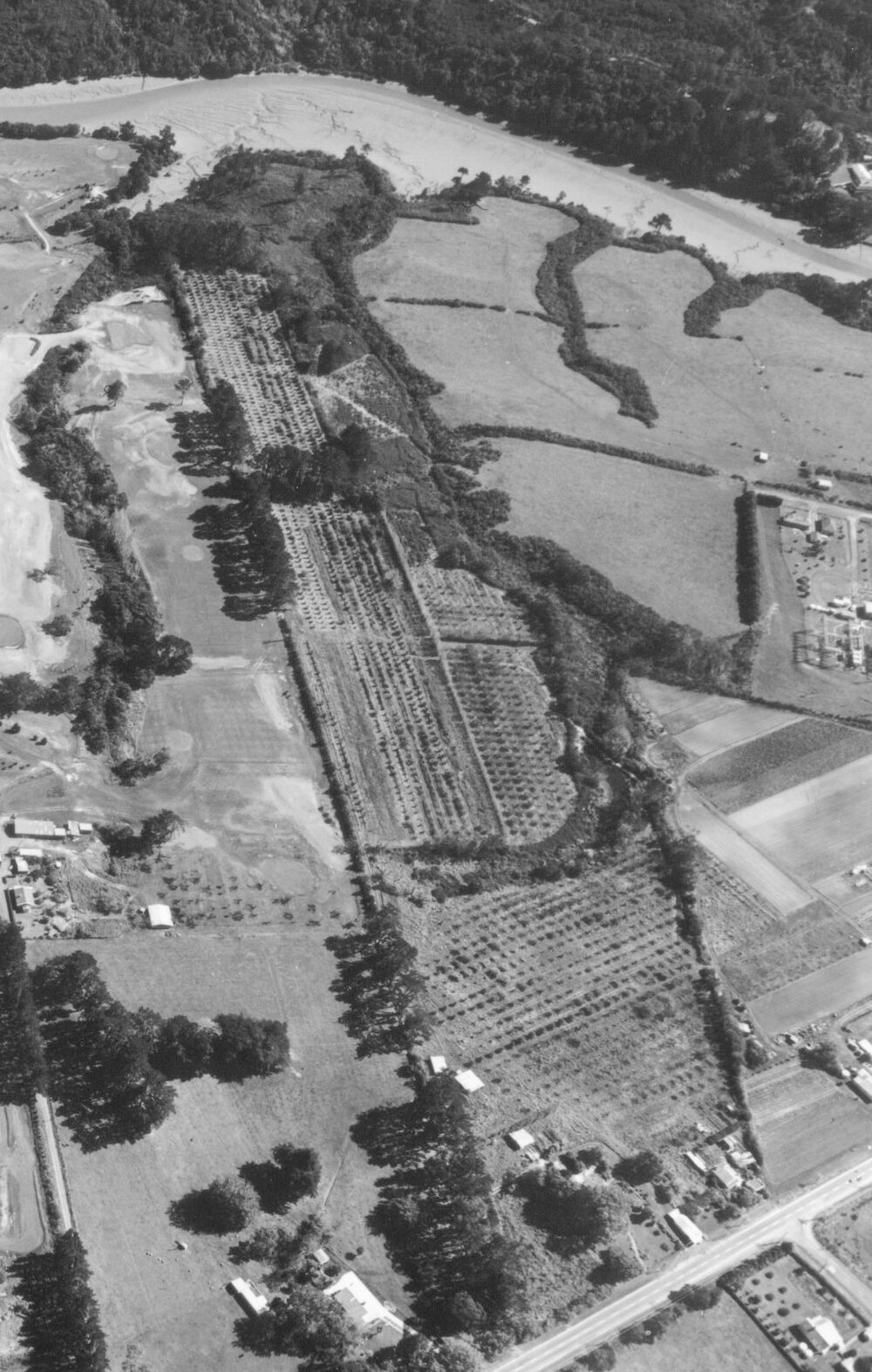 Kristin's Albany Campus (1969)