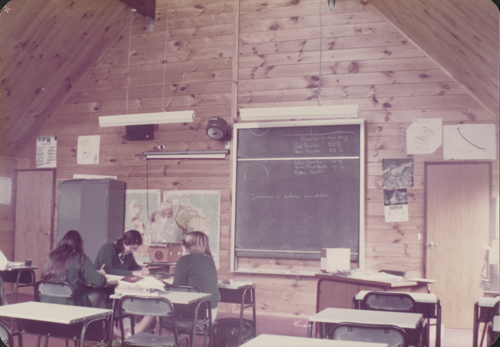 Students studying classroom