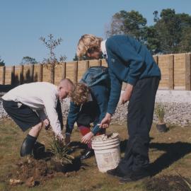 Seniors Tree planting (1999)