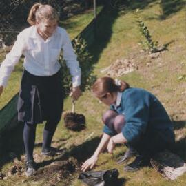 Seniors Tree planting (1999)