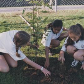 Kristin Year 9 Tree planting project