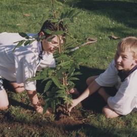Kristin Year 9 Tree planting project