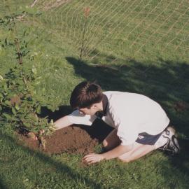 Kristin Year 9 Tree planting project