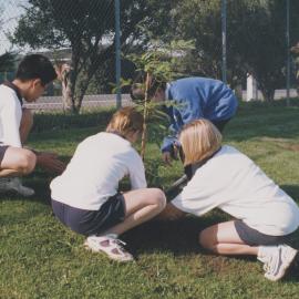 Kristin Year 9 Tree planting project