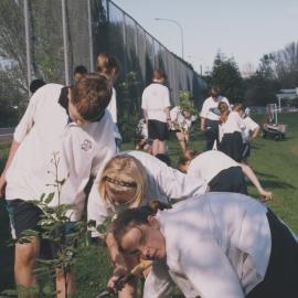 Kristin Year 9 Tree planting project