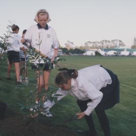 Kristin Year 9 Tree planting project