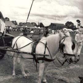 Kristin Town & Country Fair (1992)
