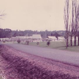 Early Albany Campus (1981)