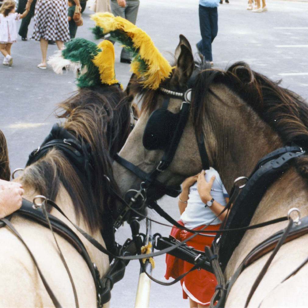 Kristin Garden Party (1981)