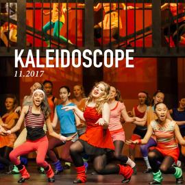 Kaleidoscope. Issue No. 65, 11.2017